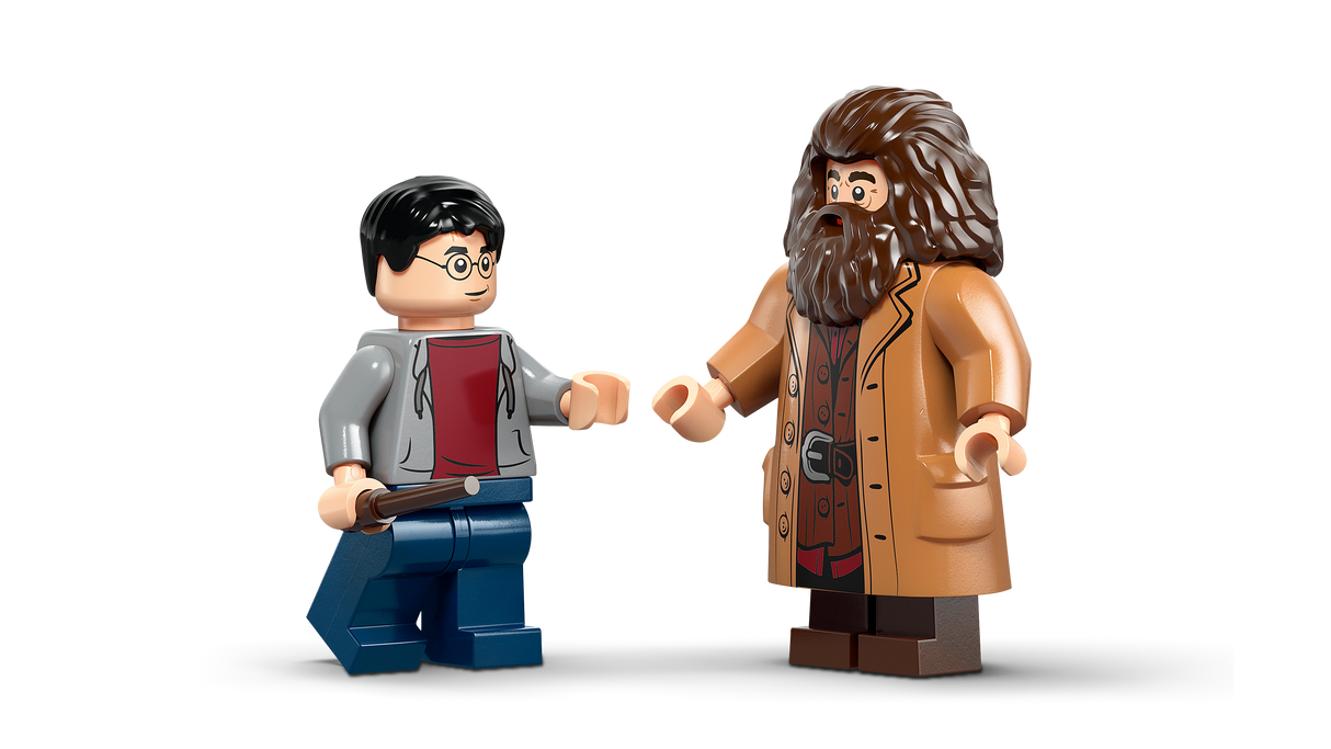LEGO Harry Potter Hagrid & Harry's Privet Drive Escape 76459L