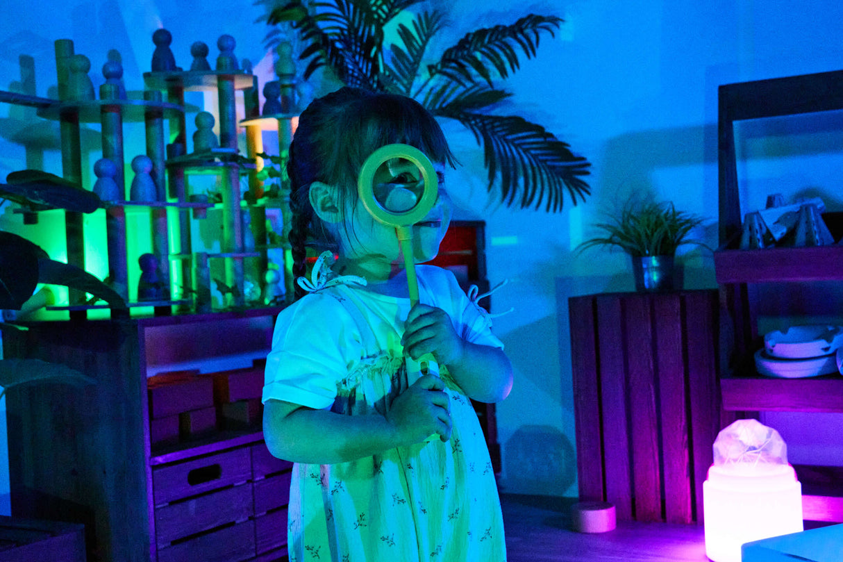 TTS Easi-Detectors - Metal Detectors and Magnifier 6pk EL47411B