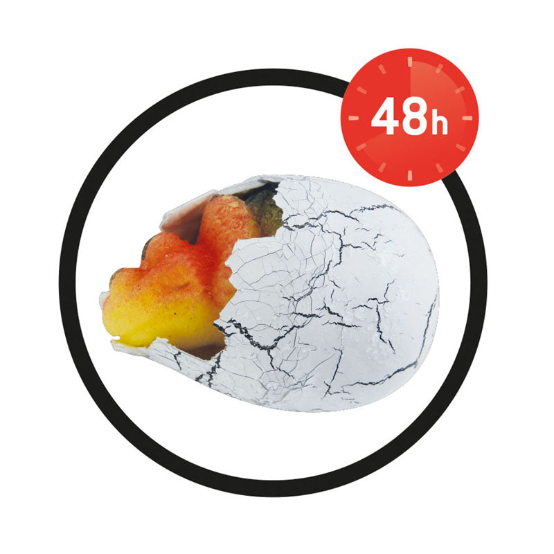 Buki Magic Egg D6GI