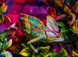 Ravensburger Puzzle 500 pc Chameleon 12001333V