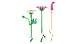LEGO Botanicals Cosmos Flowers 11514L