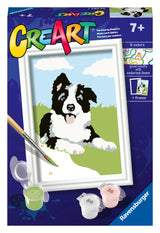 Ravensburger Paint by Numbers Border Collie 236831V