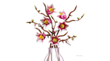 LEGO Botanicals Magnolia Branches 11510L