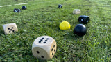 Bex 5Star outdoor game: Family 541-600