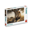Dino Puzzle 500 Pieces: Resting Lion 50288D