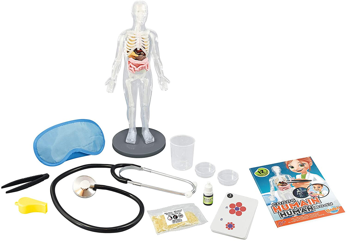 Buki Human Body 2163I