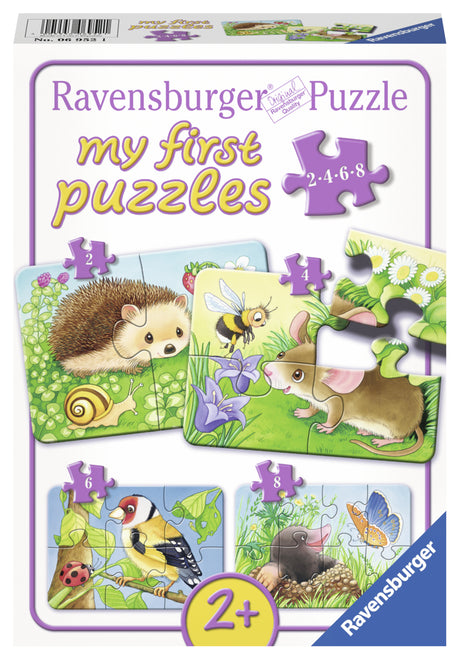 Ravensburger My First Puzzles 2-4-6-8 pc 069521V