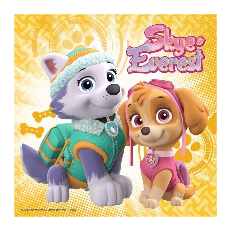 Ravensburger Puzzle 3x49 Pieces: Skye and Everest
 080083V