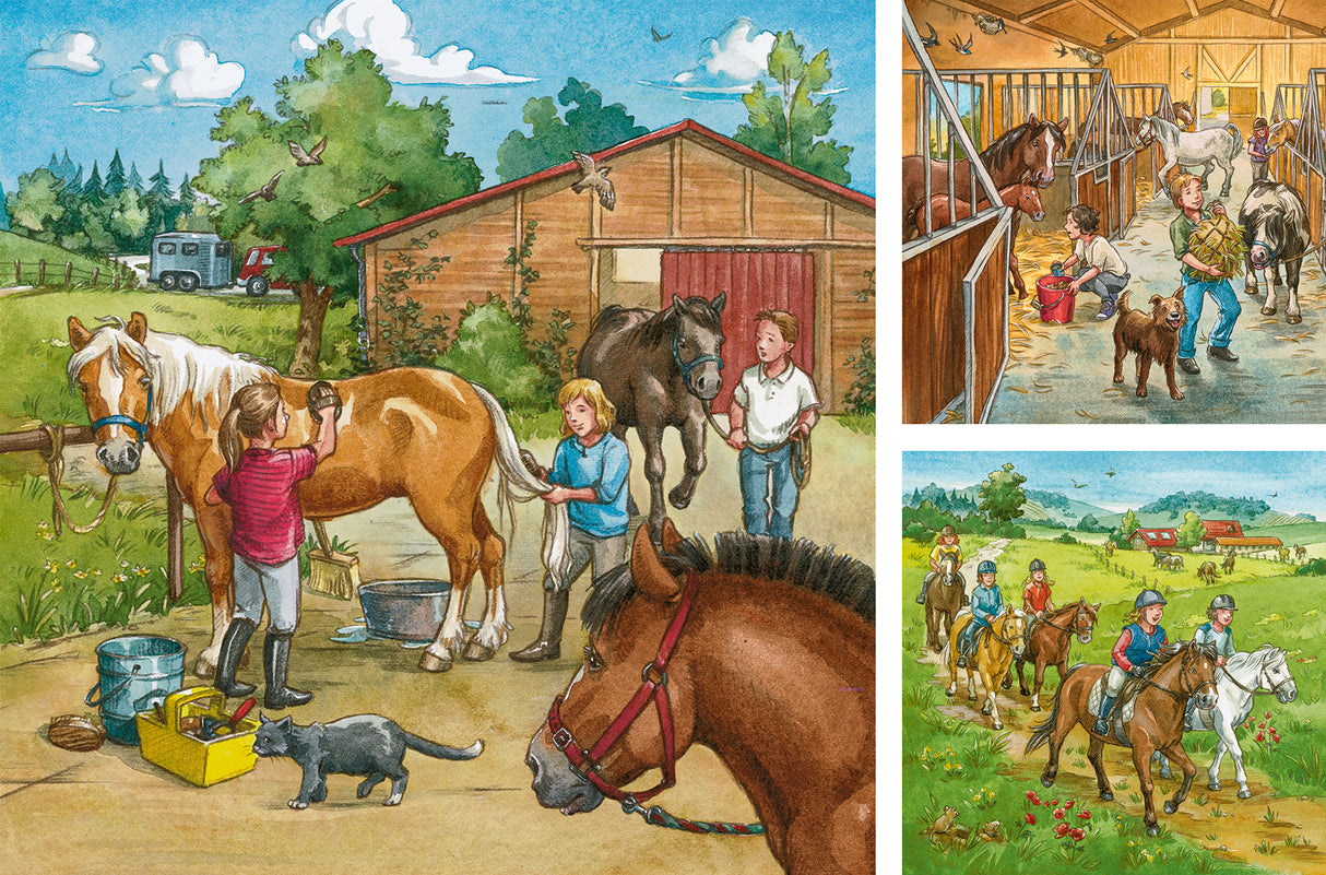 Ravensburger Puzzle 3x49 pc A Day with Horses Puzzle 092376V