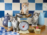 Ravensburger Puzzle 1500 Pieces: Kittens In The Kitchen 12001708V