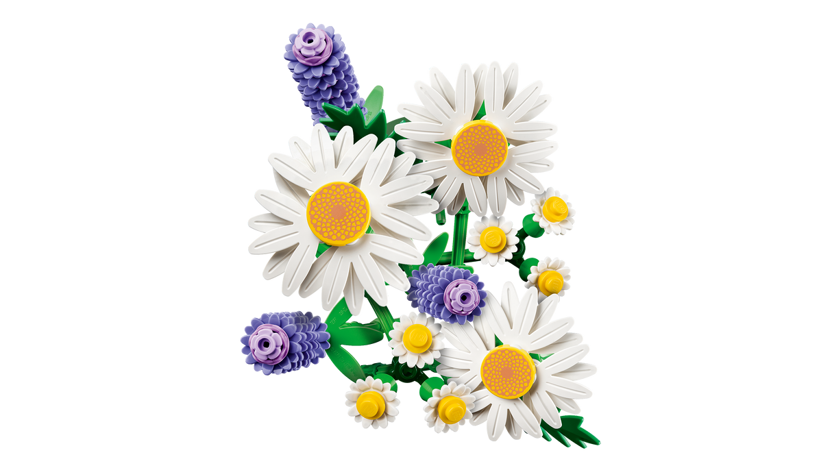 LEGO Botanicals Daisies 11508L