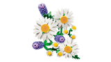 LEGO Botanicals Daisies 11508L