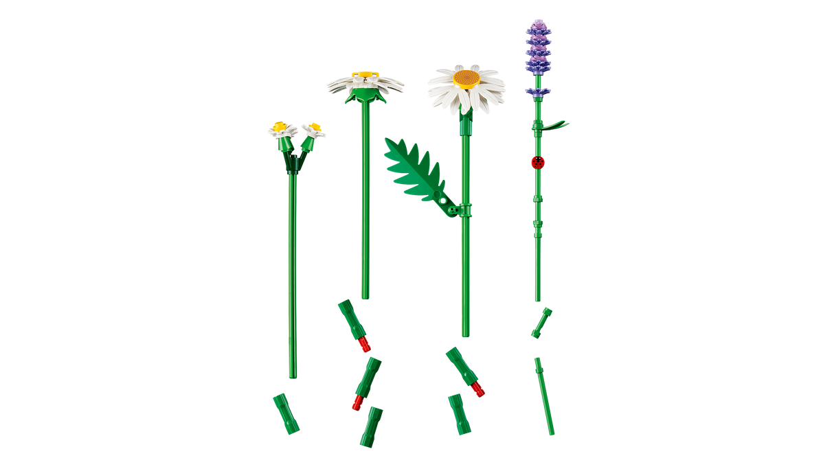 LEGO Botanicals Daisies 11508L