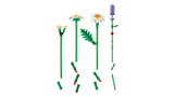 LEGO Botanicals Daisies 11508L