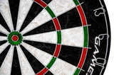 Gamesson Dartboard: Tournament Edition 111-4010