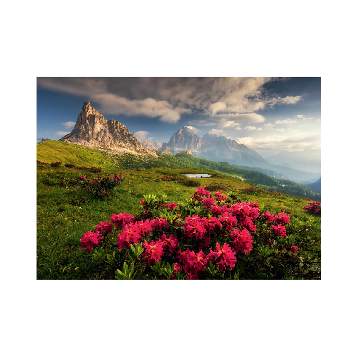 Dino Puzzle 2000 Pieces: Italian Dolomites 56138D