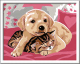 Ravensburger Paint by Numbers Blanket Friends 202102V