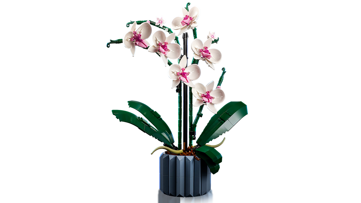 LEGO Botanical Collection Orchid 10311L