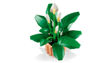LEGO Botanicals Peace Lily 11504L