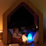 TTS Light Up Lanterns 2pk SS46614B