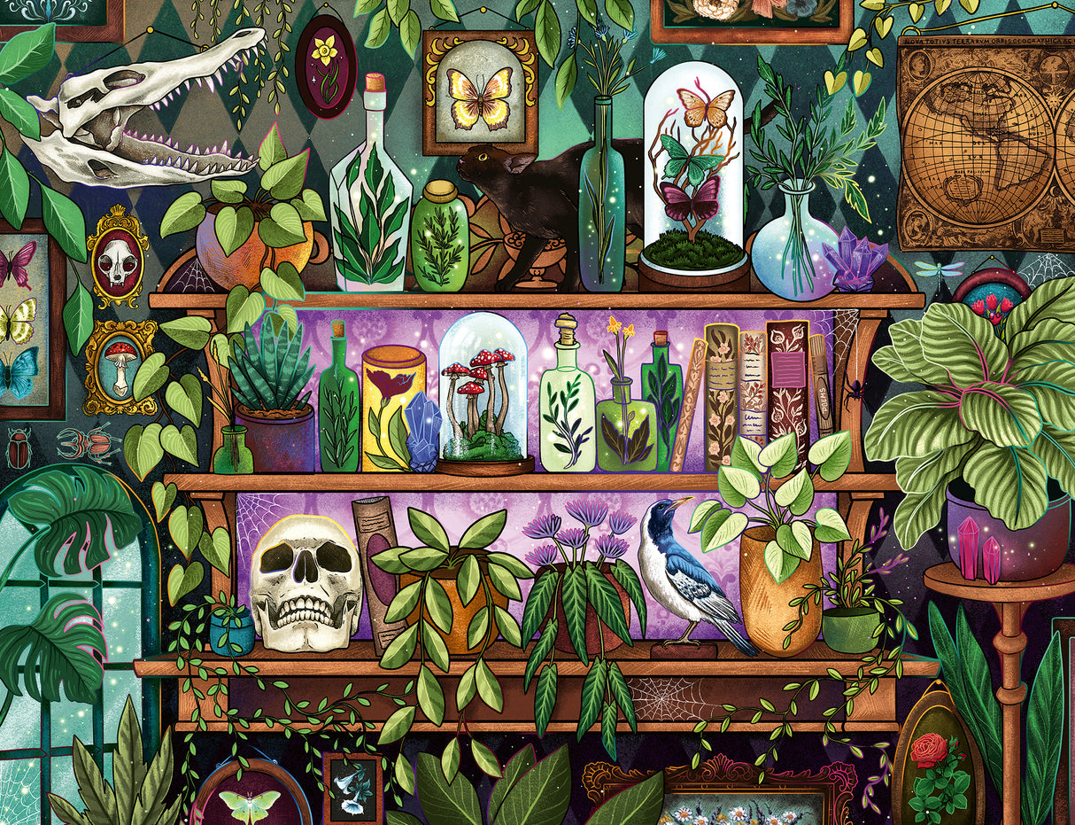 Ravensburger Puzzle 2000 pc Wizard's Shelf 12001416V