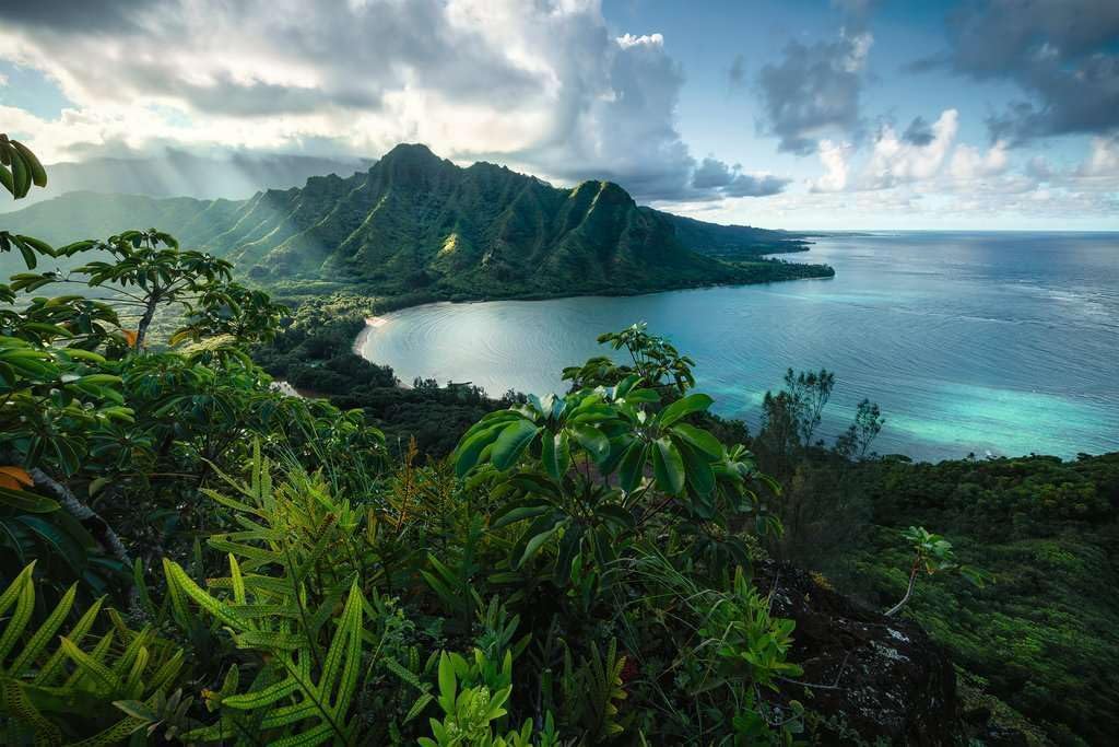 Ravensburger Puzzle 5000 pc Hawai  161065V