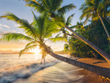 Ravensburger Puzzle 1500 Pieces: Beach Hideaway 12000693V
