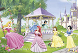 Ravensburger Puzzle 2x24 pc Disney Magical Princesses  088652V