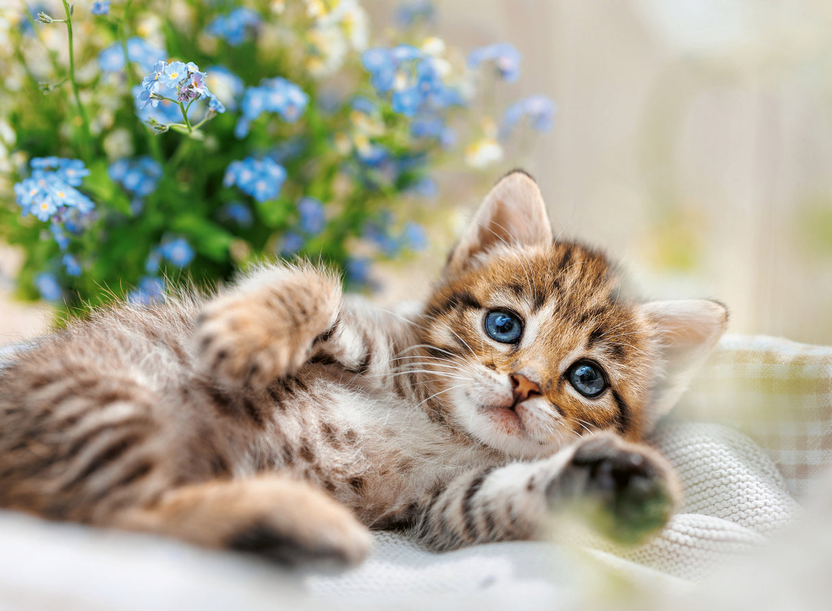Ravensburger Puzzle 500 Pieces: Playful Kitten 12001904V