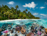 Ravensburger Puzzle 2000 Pieces: A Dive in the Maldives 174416V