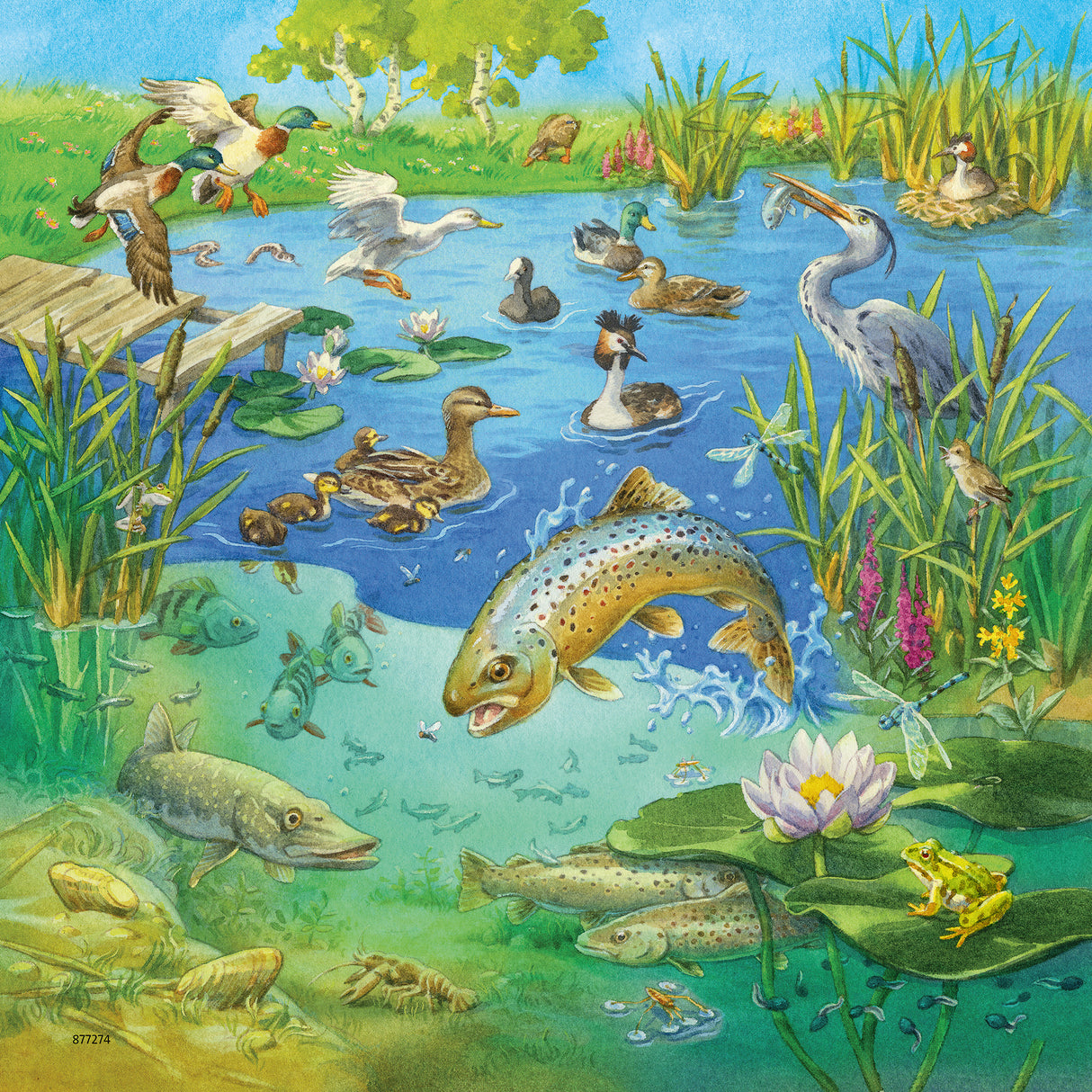 Ravensburger Puzzle 3x49 pc Animals 080502V