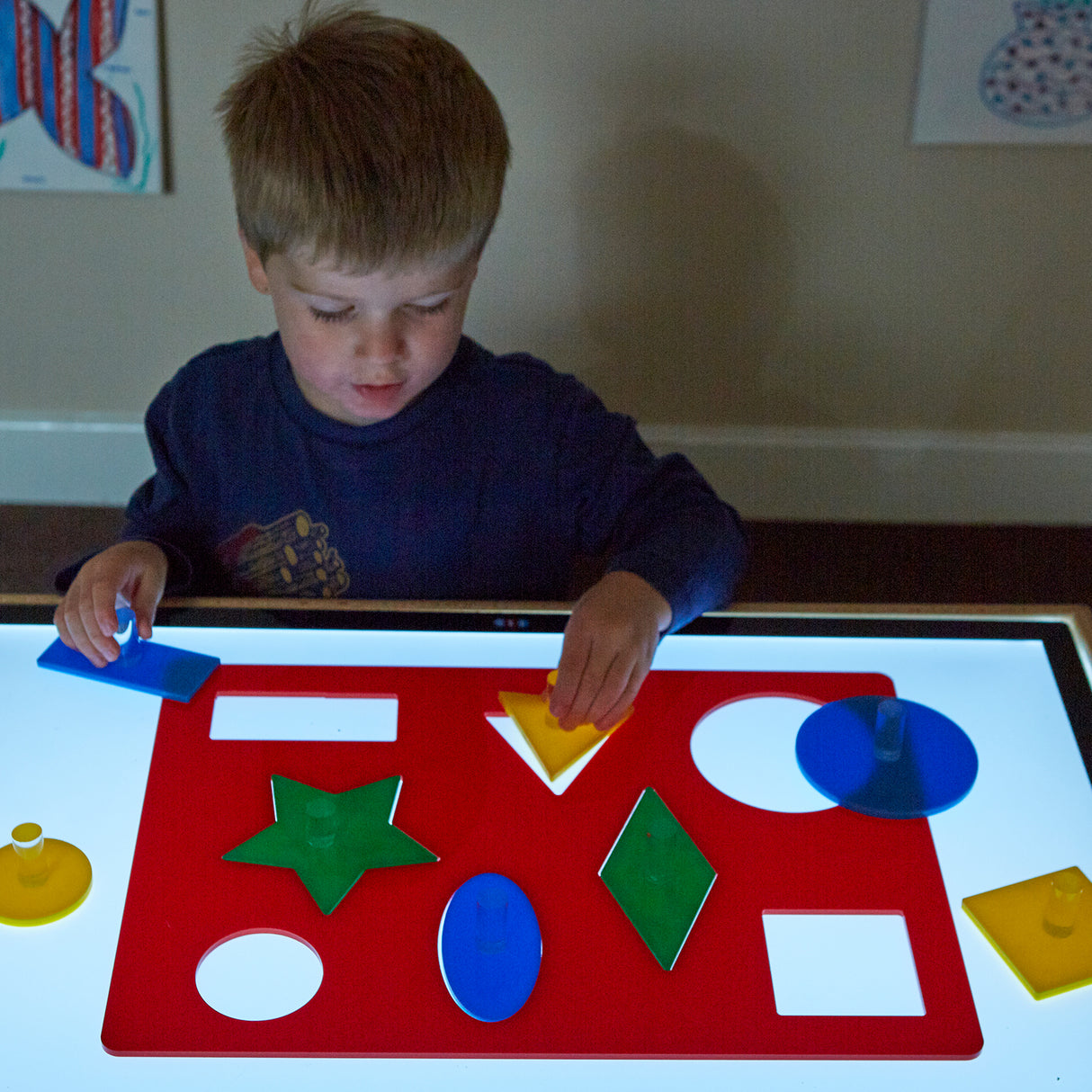 TTS Lightbox Acrylic Shape Sorting Board EY07282B