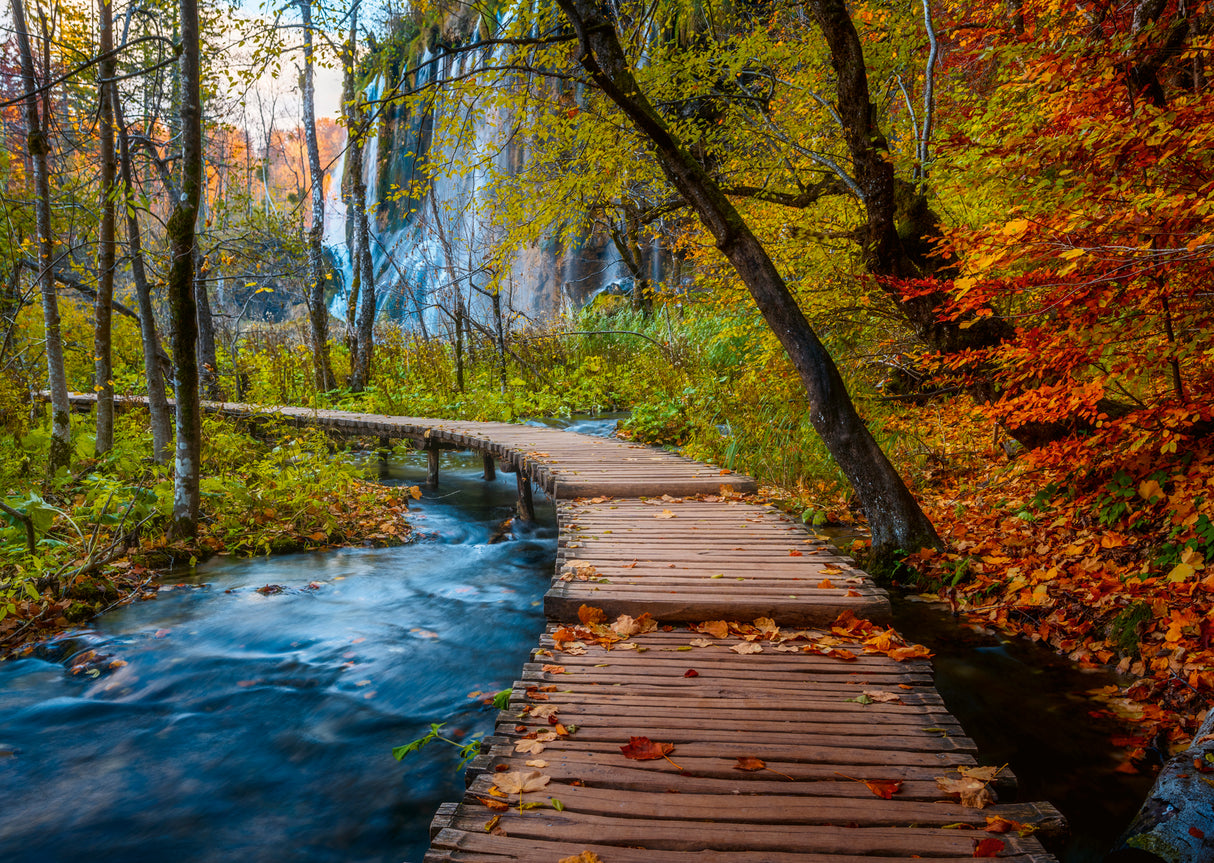 Ravensburger Puzzle 1000 Pieces: Autumnal Wooden Trail In Croatia 12001764V