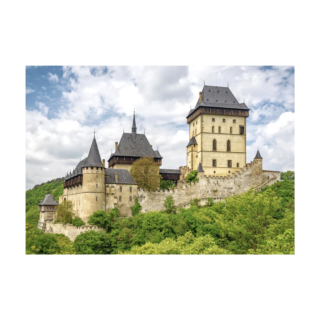 Dino Puzzle 500 pc Charles Castle 50240D