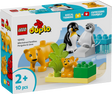 LEGO DUPLO Wild Animal Families: Penguins & Lions 10442L