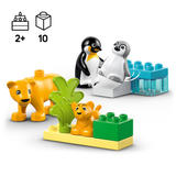 LEGO DUPLO Wild Animal Families: Penguins & Lions 10442L