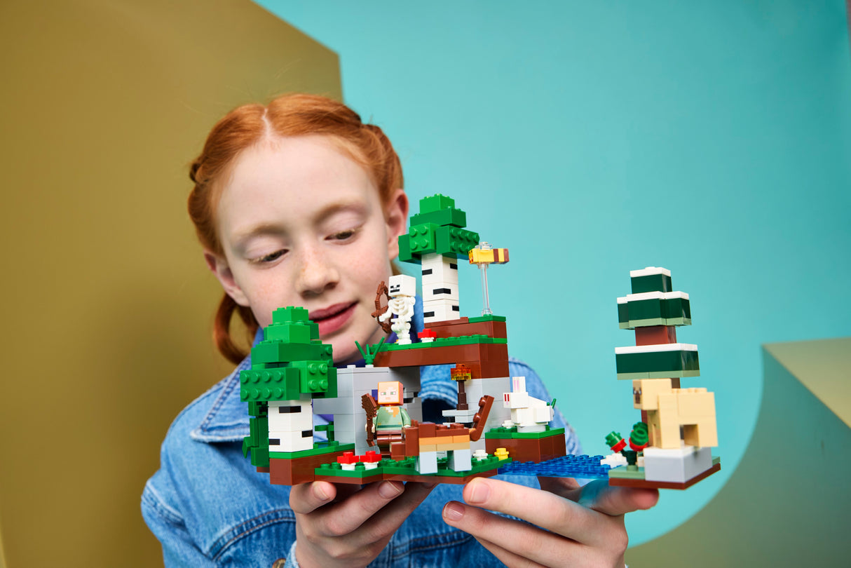 LEGO Minecraft First Night Adventure 21593L