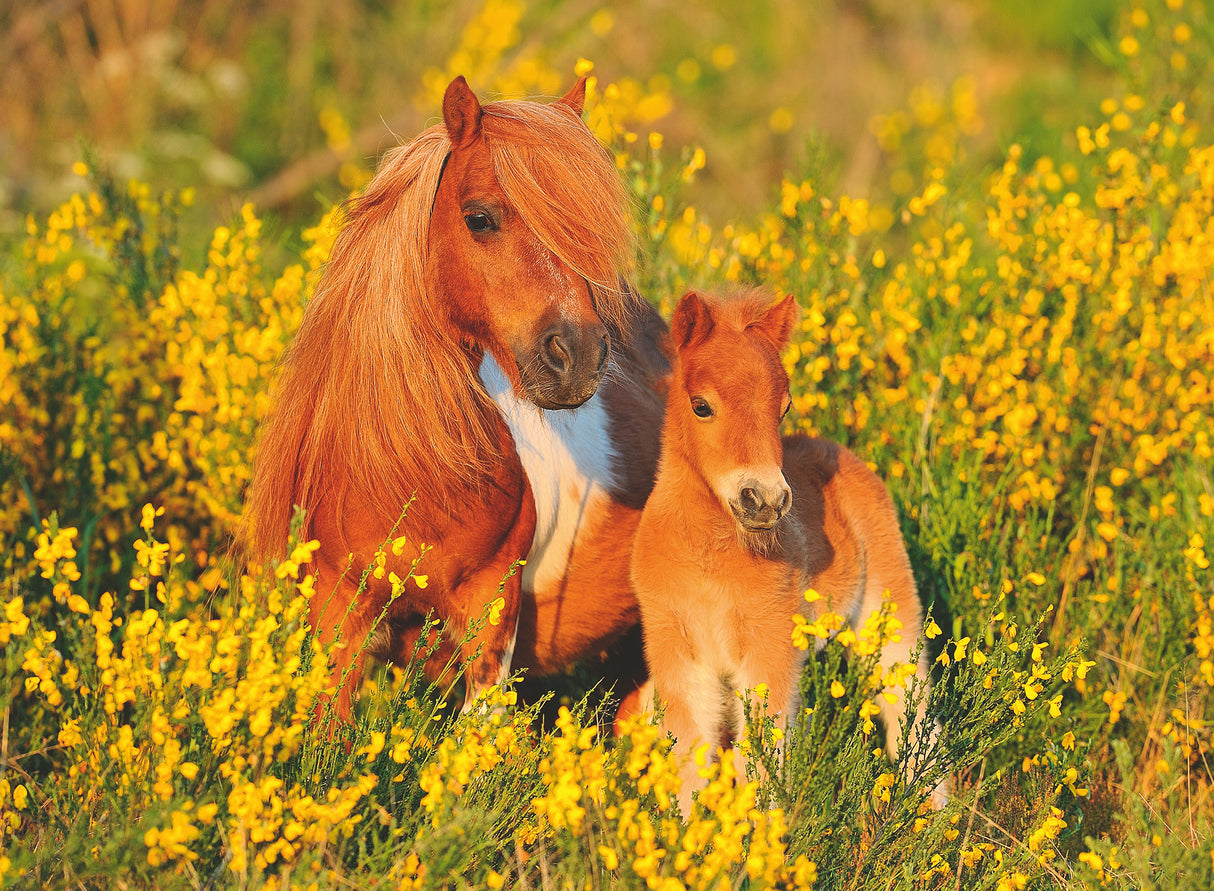 Ravensburger Puzzle 100 pc Ponies 132836V