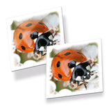 Tactic Board Game Memo Insects 56315T